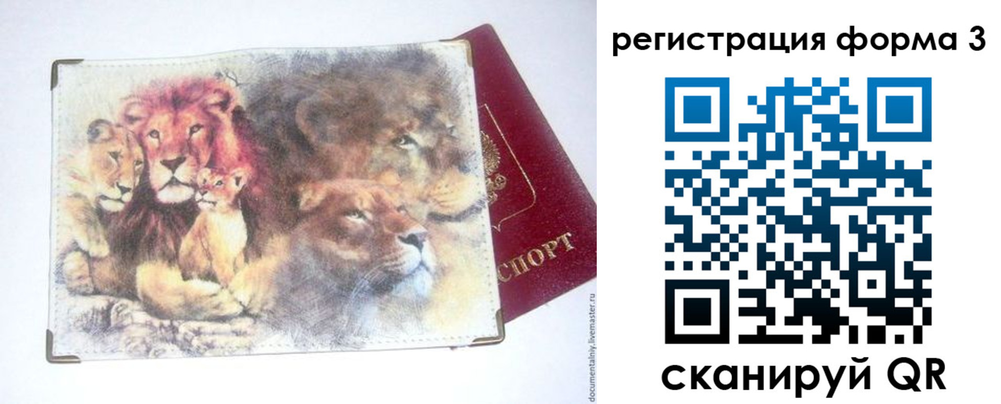 прописка в квартире в Тереке